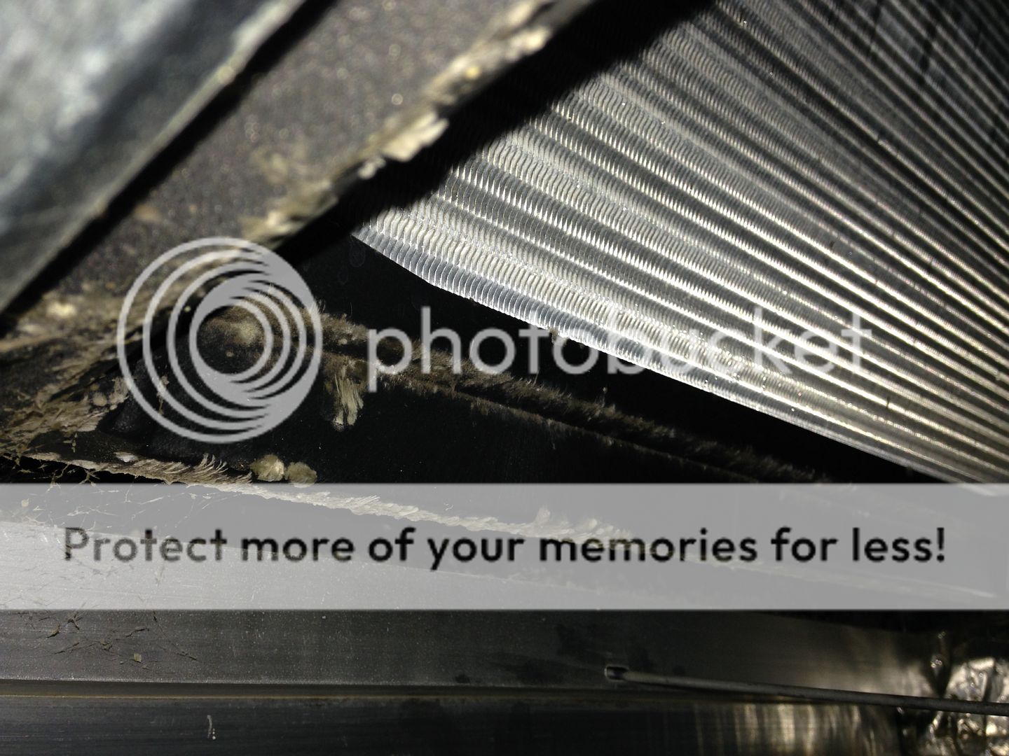 Seeing mold inside air handler